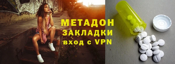 ГАЛЛЮЦИНОГЕННЫЕ ГРИБЫ Осинники