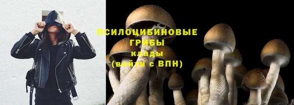 ECSTASY Остров