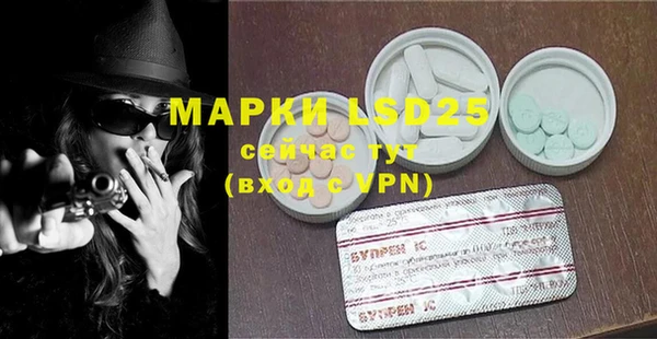 ГАЛЛЮЦИНОГЕННЫЕ ГРИБЫ Осинники