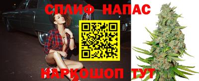 молекула духа Бузулук