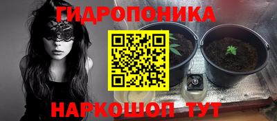 тгк Будённовск