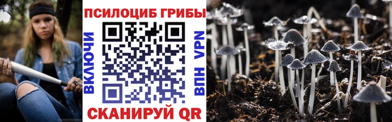 Галлюциногенные грибы Psilocybe  хочу   OMG онион  Кандалакша 