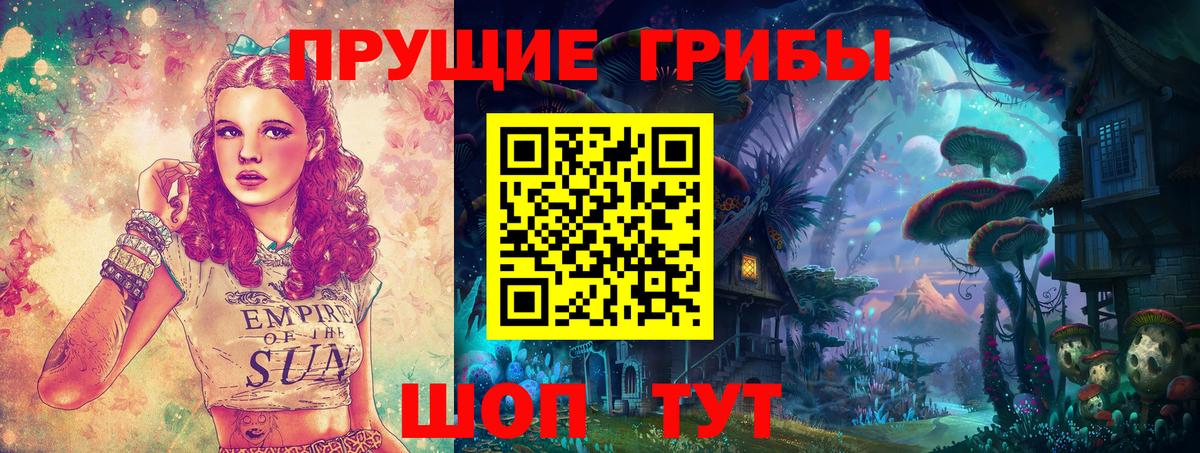 Галлюциногенные грибы Psilocybine cubensis Кандалакша