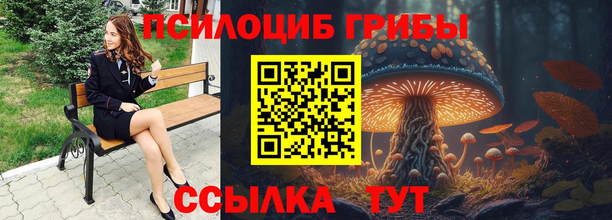 Кандалакша  Псилоцибиновые грибы прущие грибы  Вход с VPN  Галлюциногенные грибы Psilocybine cubensis 