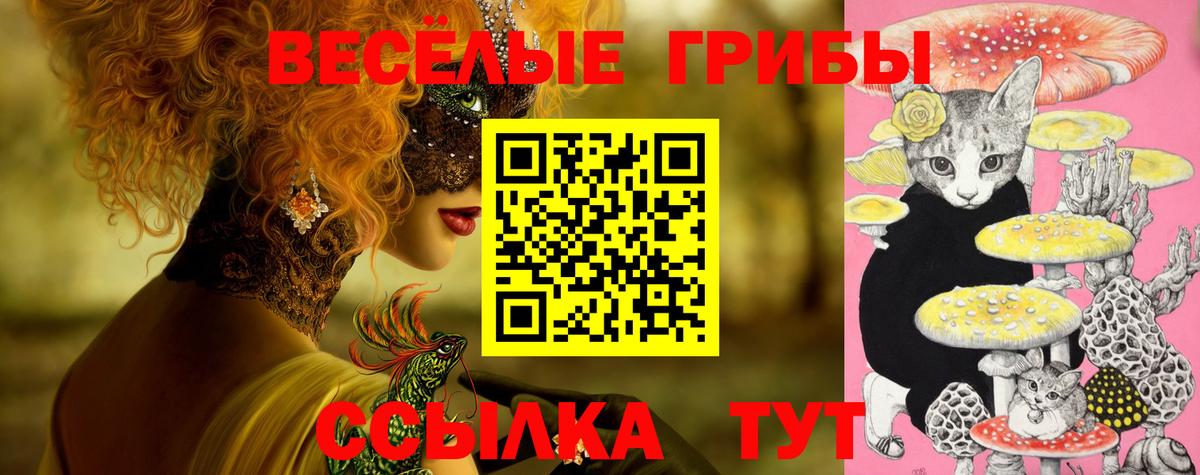 Псилоцибиновые грибы Cubensis  Псилоцибиновые грибы Magic Shrooms  Кандалакша 